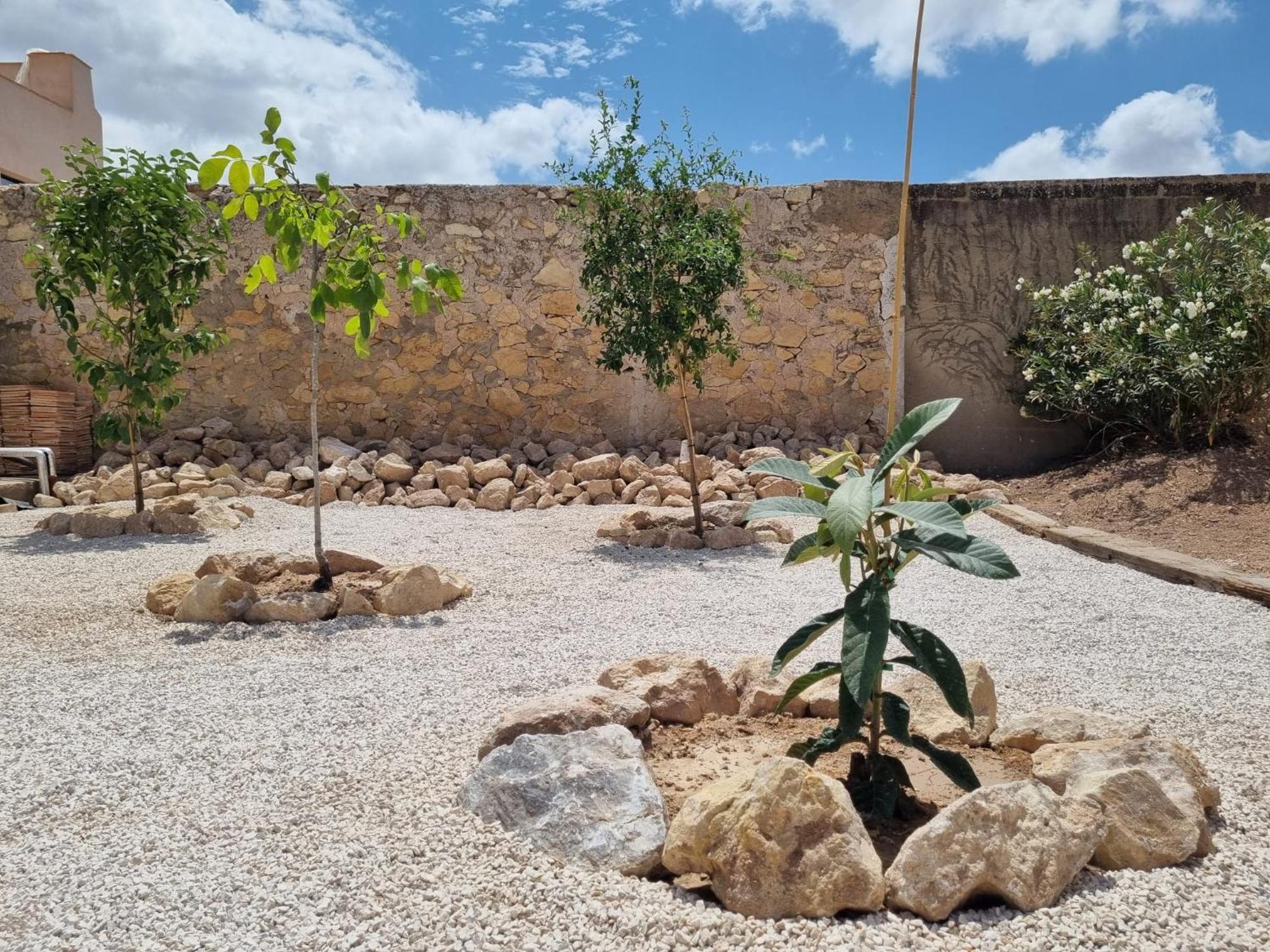 Casa Rodriguillo Bed & Breakfast Pinoso Dış mekan fotoğraf