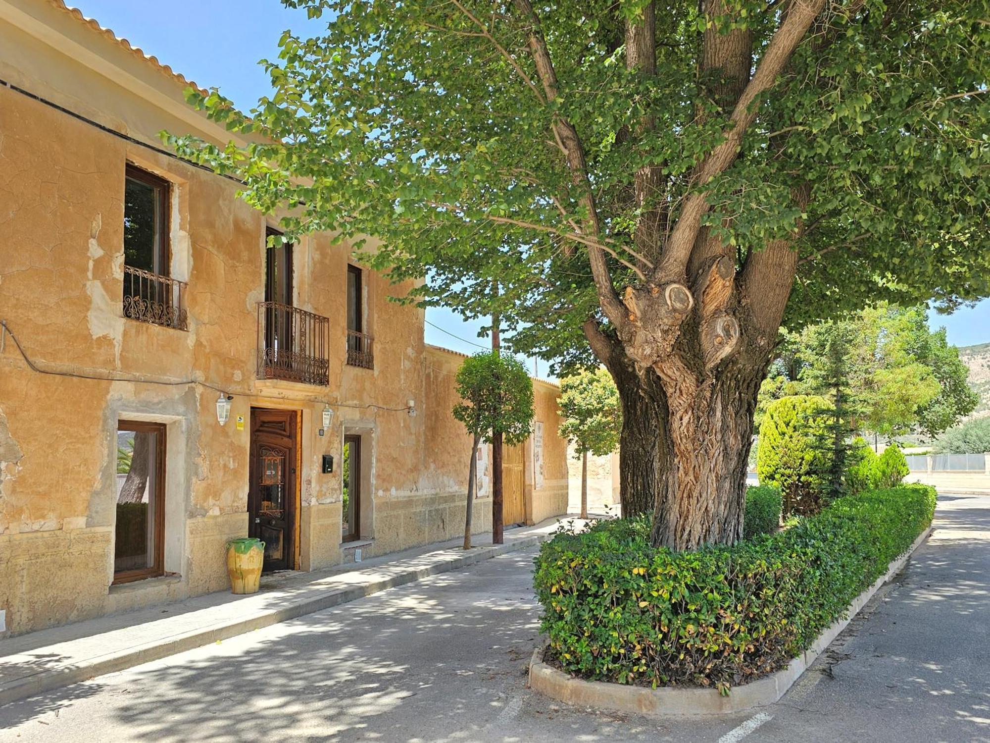Casa Rodriguillo Bed & Breakfast Pinoso Dış mekan fotoğraf